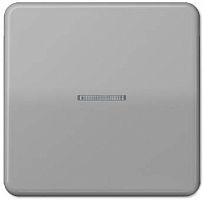 Лицевая панель Jung CD500 для 1-кл. выключателя с подсветкой серый картинка